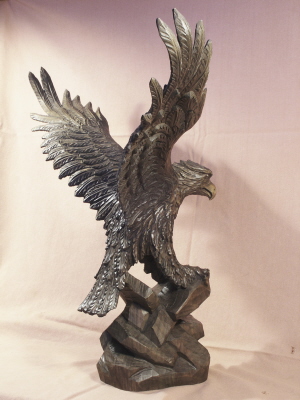 Adler 50 cm (13)